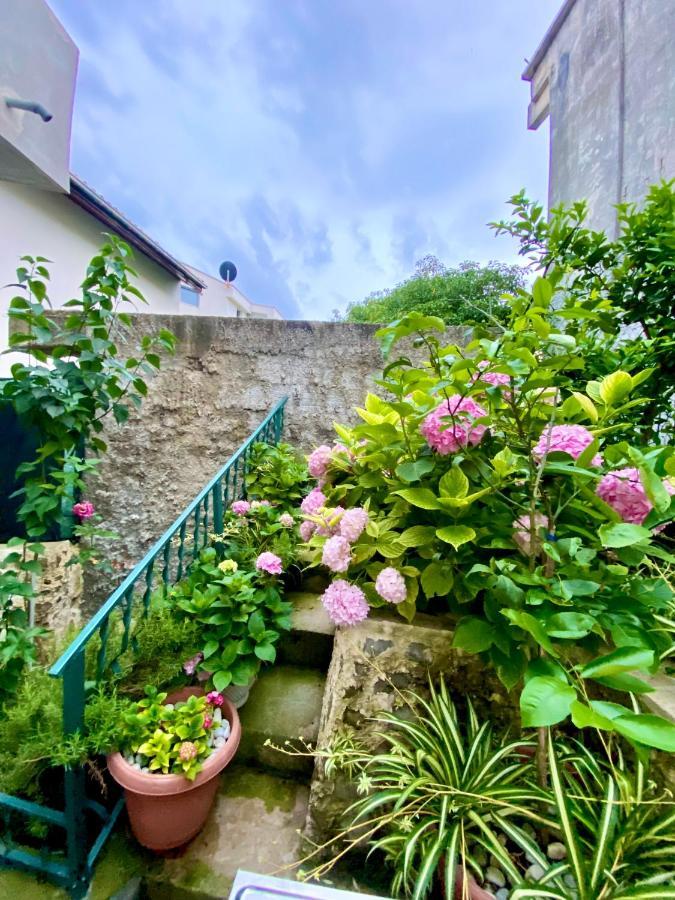 Mala Plaza Apartments 乌尔齐尼 外观 照片